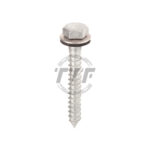 Lag Screw