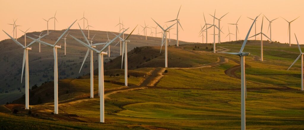 Wind farm development for energy sustainability