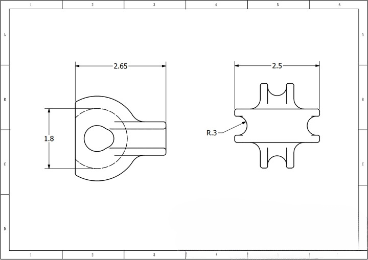 Features of the B-strand connector