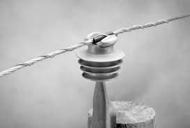 Pole top pin supporting the installation of the insulator