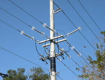 Conductor guard on overhead power lines